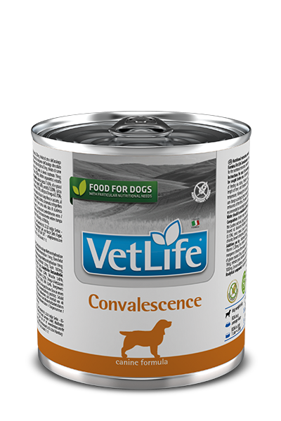 Farmina Vet Life Convalescence - 300g Farmina Vet Life Convalescence - 300g